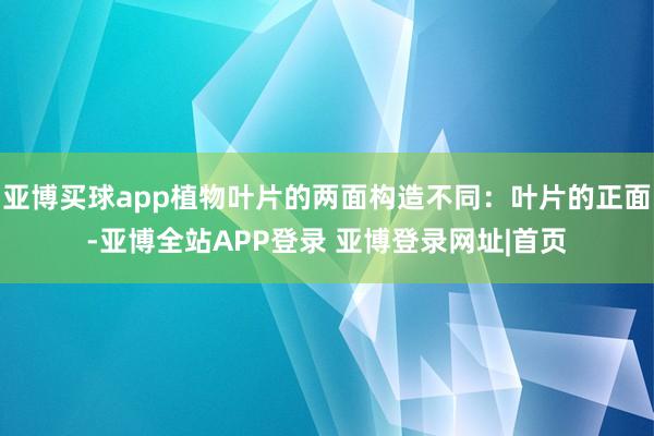 亚博买球app植物叶片的两面构造不同：叶片的正面-亚博全站APP登录 亚博登录网址|首页