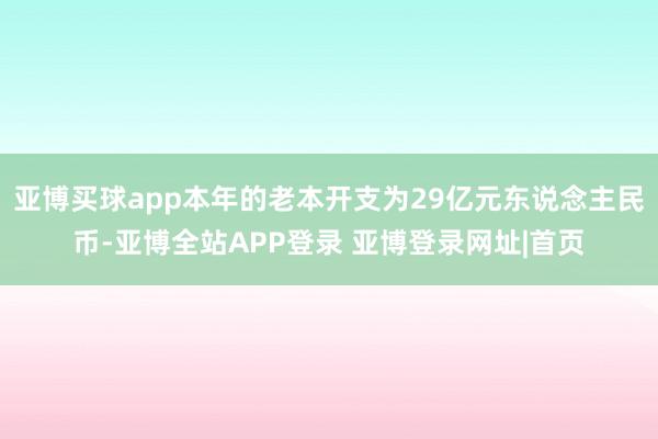 亚博买球app本年的老本开支为29亿元东说念主民币-亚博全站APP登录 亚博登录网址|首页