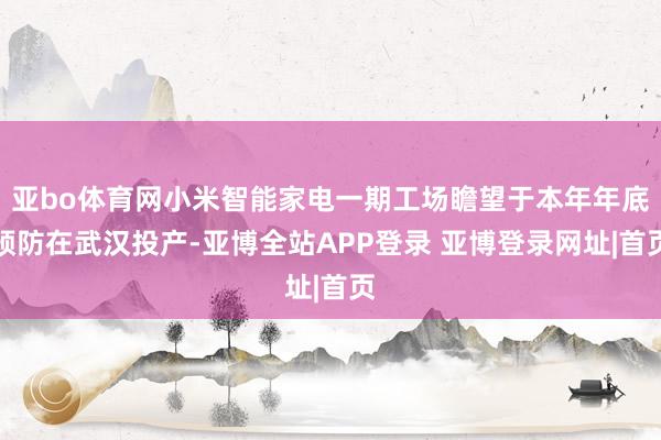 亚bo体育网小米智能家电一期工场瞻望于本年年底预防在武汉投产-亚博全站APP登录 亚博登录网址|首页