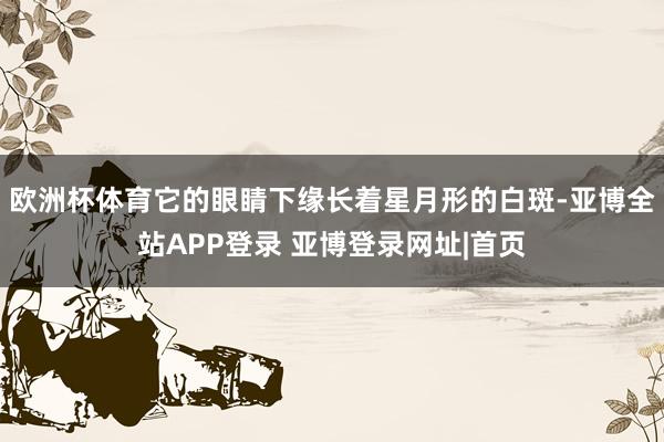 欧洲杯体育它的眼睛下缘长着星月形的白斑-亚博全站APP登录 亚博登录网址|首页
