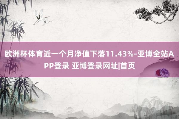 欧洲杯体育近一个月净值下落11.43%-亚博全站APP登录 亚博登录网址|首页