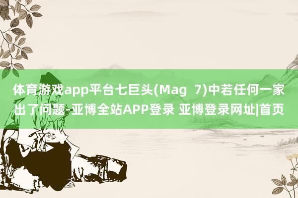 体育游戏app平台七巨头(Mag  7)中若任何一家出了问题-亚博全站APP登录 亚博登录网址|首页