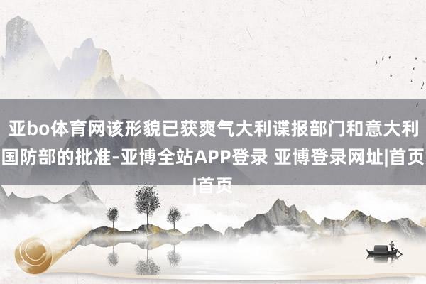 亚bo体育网该形貌已获爽气大利谍报部门和意大利国防部的批准-亚博全站APP登录 亚博登录网址|首页
