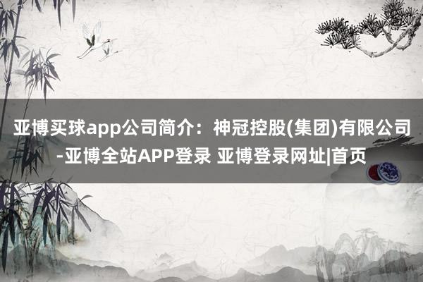 亚博买球app公司简介：神冠控股(集团)有限公司-亚博全站APP登录 亚博登录网址|首页