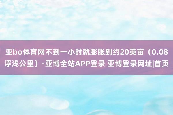 亚bo体育网不到一小时就膨胀到约20英亩（0.08浮浅公里）-亚博全站APP登录 亚博登录网址|首页