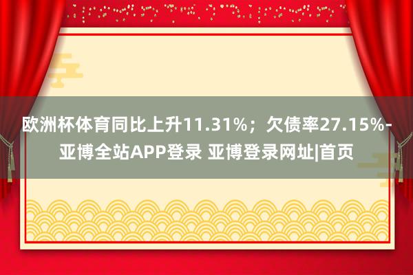 欧洲杯体育同比上升11.31%;欠债率27.15%-亚博全站APP登录 亚博登录网址|首页