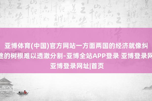 亚博体育(中国)官方网站一方面两国的经济就像纠缠在沿途的树根难以透澈分割-亚博全站APP登录 亚博登录网址|首页